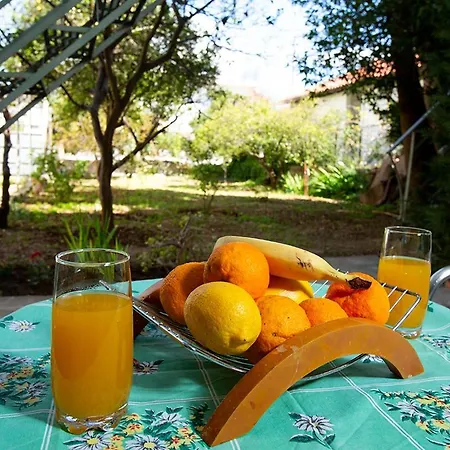 Garden House Apartment Argostoli (Kefalonia)
